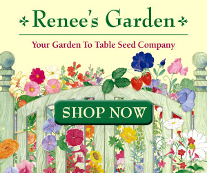 Renee's Garden